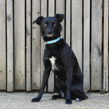 Unterrichtsteam 3./4. Klasse